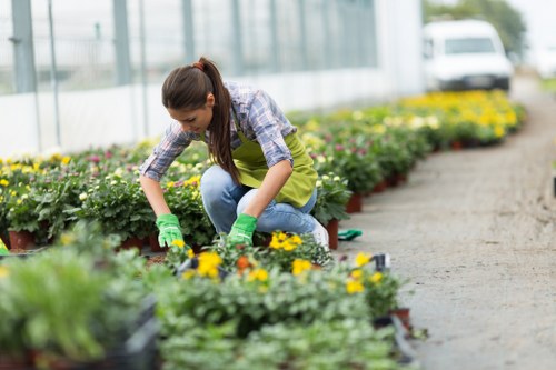 Professional gardening services in Addington maintaining a neat residential garden