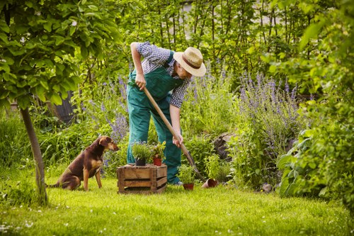Seasonal garden maintenance and tidy borders in Addington