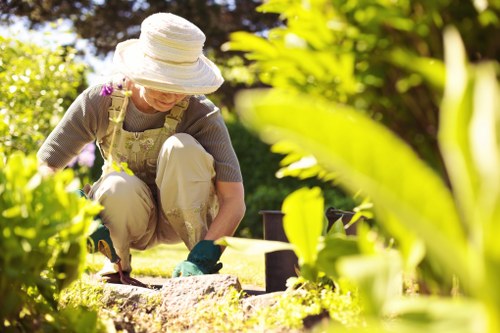 Professional review of a gardening service issue