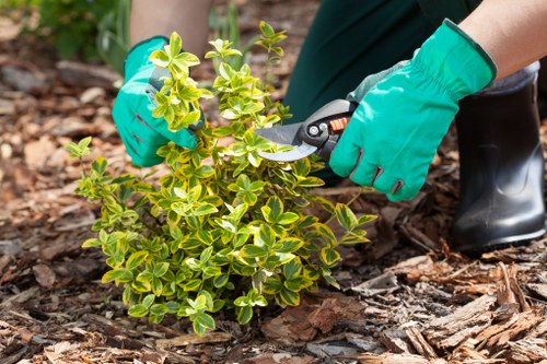 Gardeners Addington professional outdoor care concept
