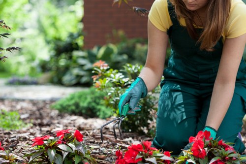 Seasonal garden care with professional attention