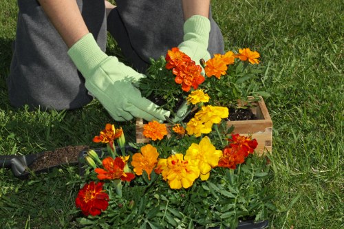Gardener preparing a transparent quote for a small Addington front garden