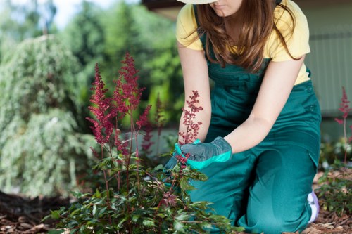 Lawn care and turf maintenance in an Addington garden