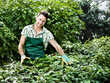 WCAG 2.1 AA compliant gardening accessibility statement for Addington