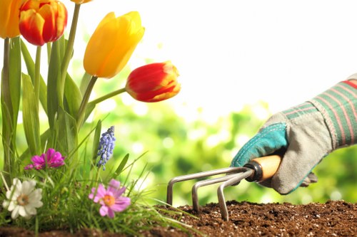 Outdoor space design and planting for landscaping in Addington