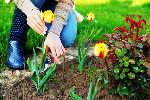Addington gardeners preparing an outdoor space for upkeep