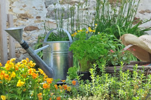 Overgrown Addington garden being transformed through clearance
