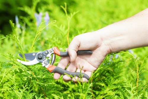 Pruning shrubs and maintaining plants in an Addington outdoor space