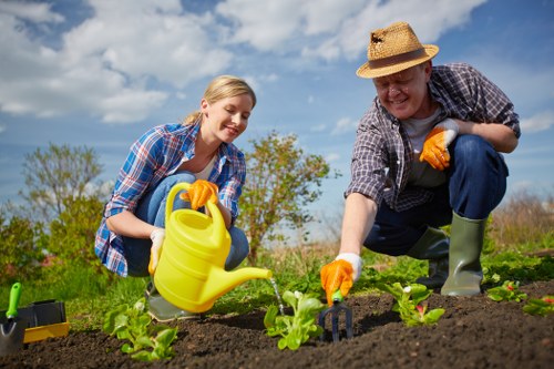 Overgrown garden restoration and clean-up services in Addington
