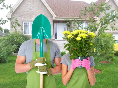 Professional landscape gardening in Addington with structured borders and greenery