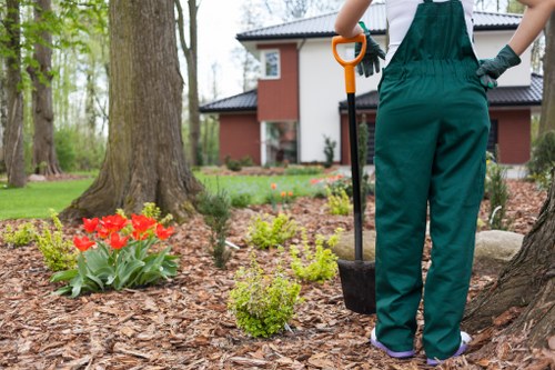 Healthy lawn care and edging in an Addington garden