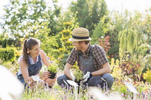Professional lawn care services in Addington for greener turf