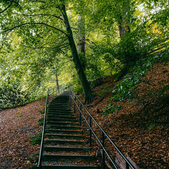 A set of wooden outdoor stairs with metal railings ascending a steep, leafy hillside. The stairs are surrounded by a dense canopy of green trees, with sunlight filtering through the leaves, casting da