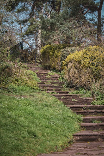 A set of wooden outdoor stairs with metal railings ascending a steep, leafy hillside. The stairs are surrounded by a dense canopy of green trees, with sunlight filtering through the leaves, casting da